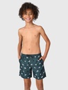 BRUNOTTI HESTEY-AO BOYS SWIMSHORT