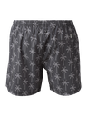 BRUNOTTI DARMIN MEN SWIM SHORTS