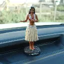 ALDOLL-2.webp