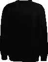 NP_Sweater Black_127042_2.webp