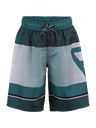 Brunotti Marony boys swimshorts